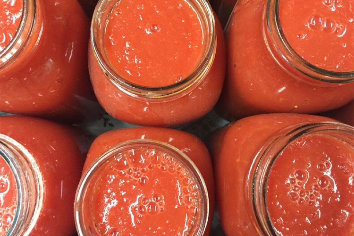 Tomatoes 2015: An Italian Tradition